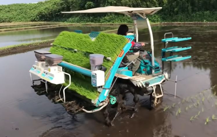 Rice planter machine